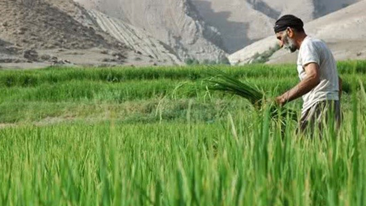 پشته فرهاد آباد دره شهر